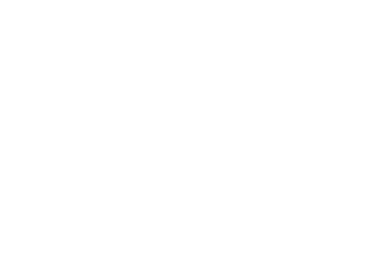 Flint logo